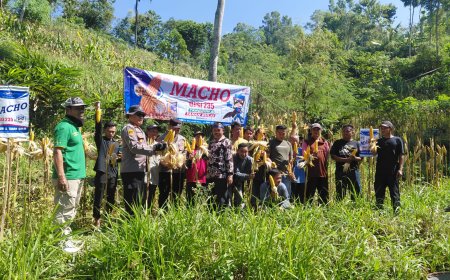 Polres Pacitan Genjot Produktivitas Jagung di Bandar, Dampingi Petani dan Evaluasi Kualitas Benih
